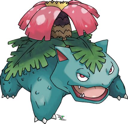 sceptile vs venusaur|sceptile vs rillaboom.